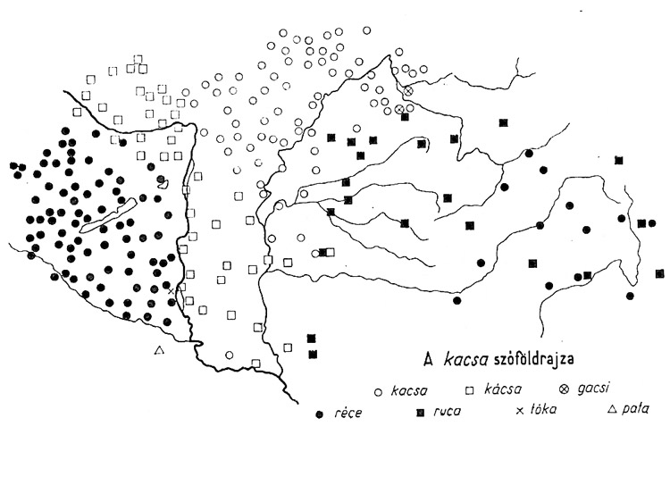 kacsa_szodoldr